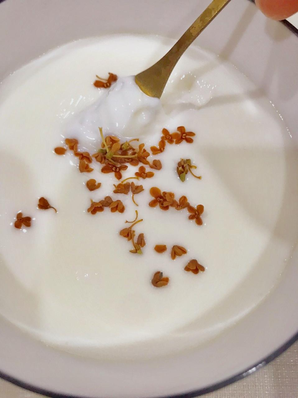 【顺德传统双皮奶的做法步骤图,怎么做好吃】jnjmwkml_下厨房