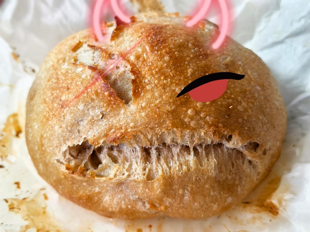 低温发酵免揉面法式乡村面包(French country bread)