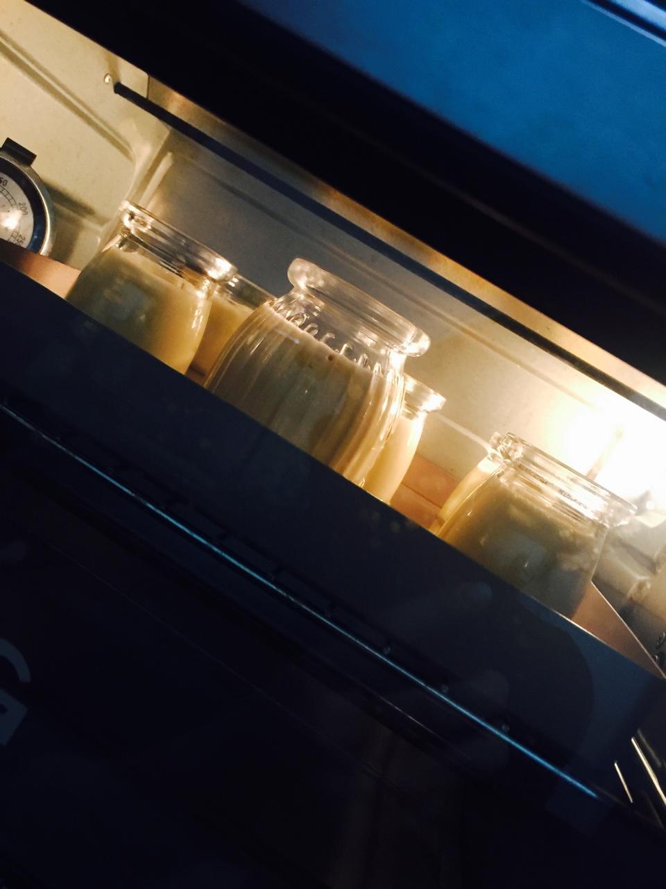 乳酪牛奶布丁