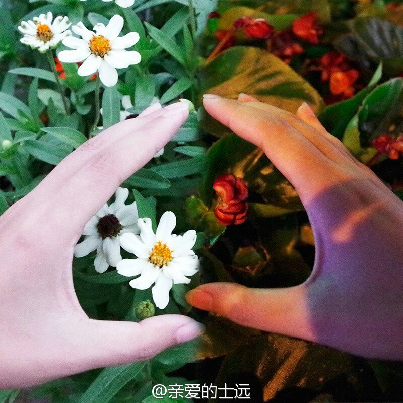 没系围裙不会做饭