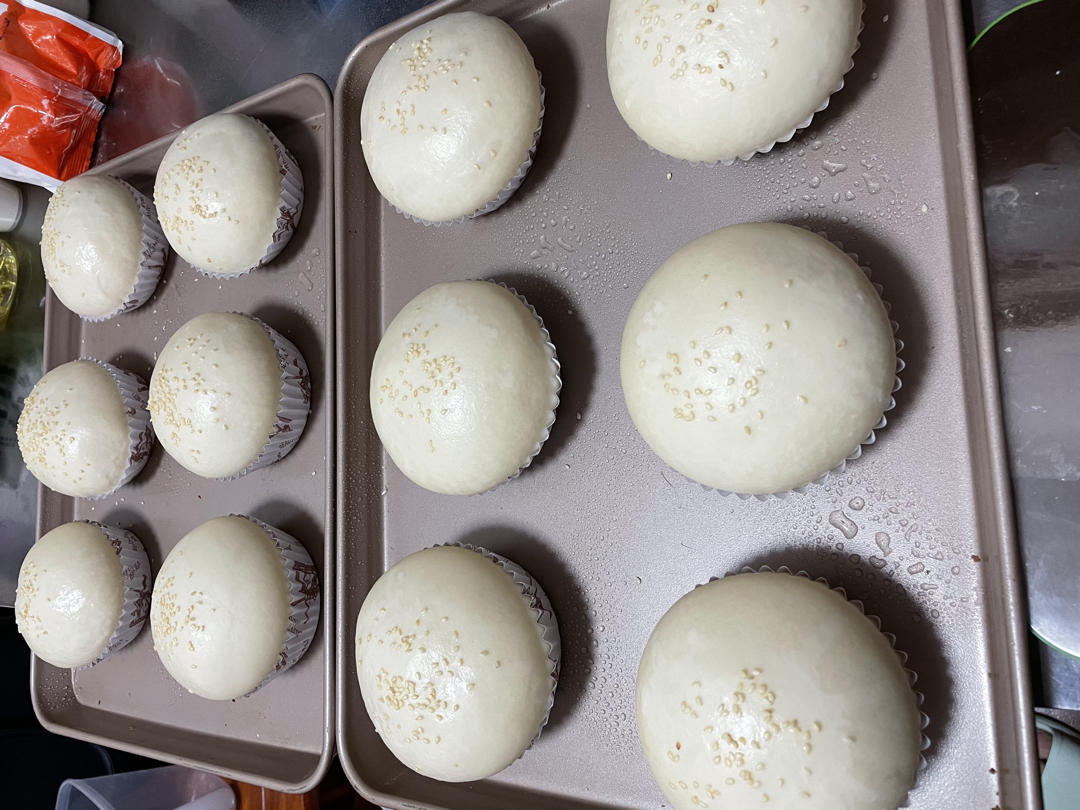 汉堡胚 poolish（波兰种）