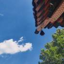 挣很多的钱给老婆花