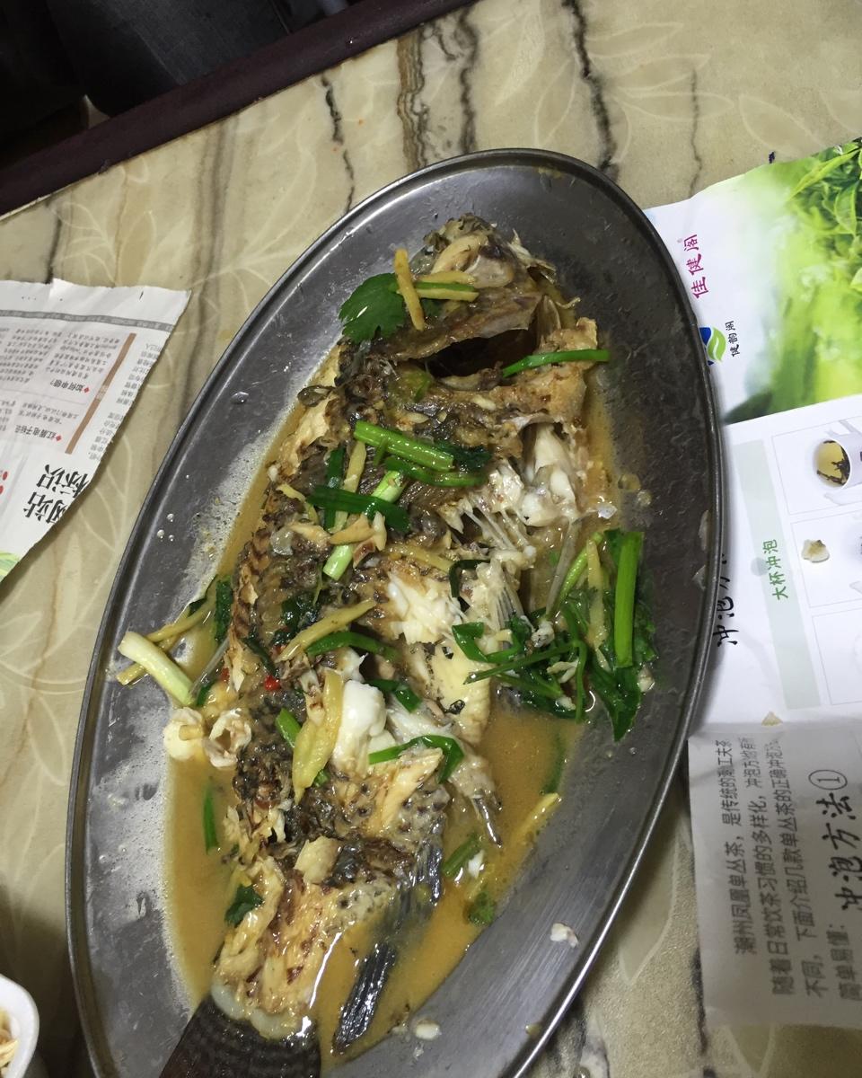 煎鱼🐠