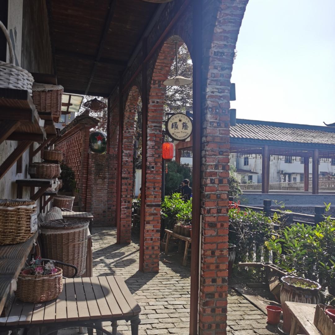 爱吃素担担面的网球