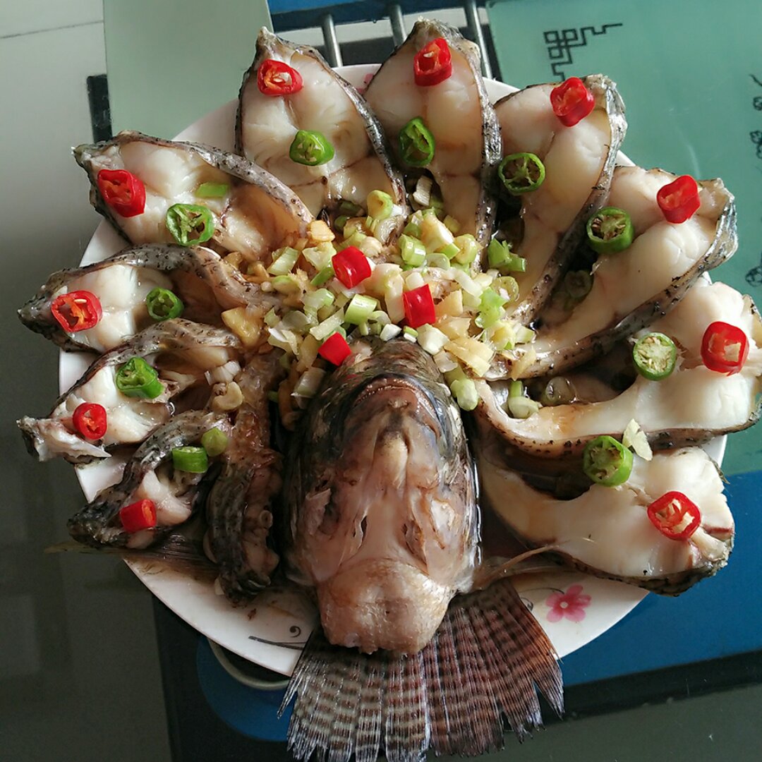 孔雀开屏鱼.