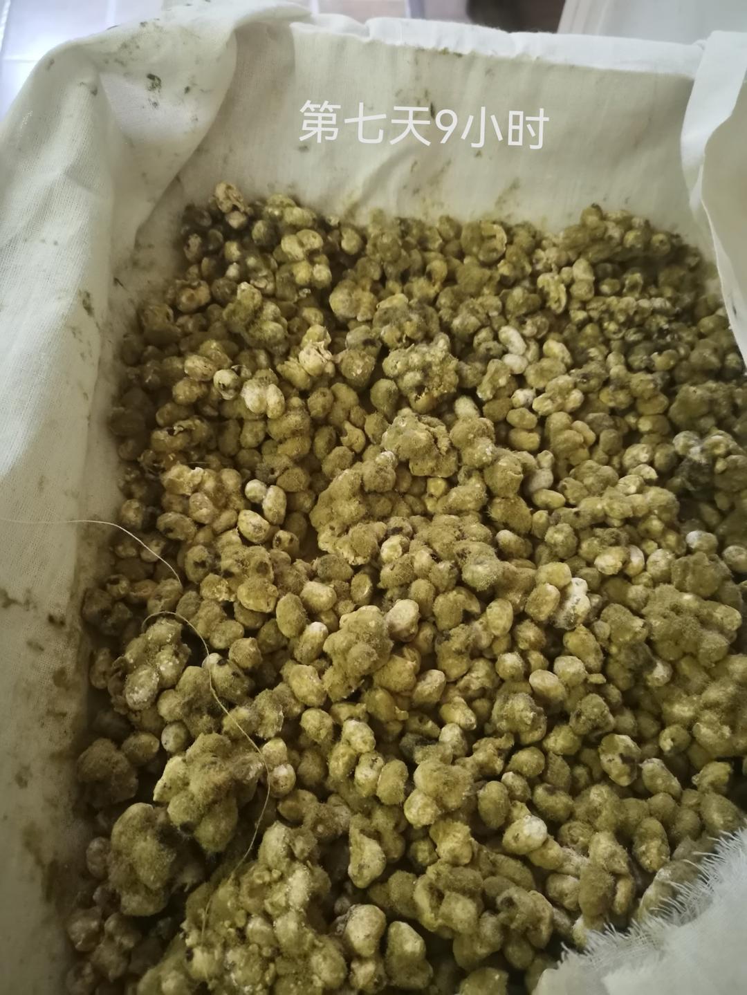 河南西瓜酱豆
