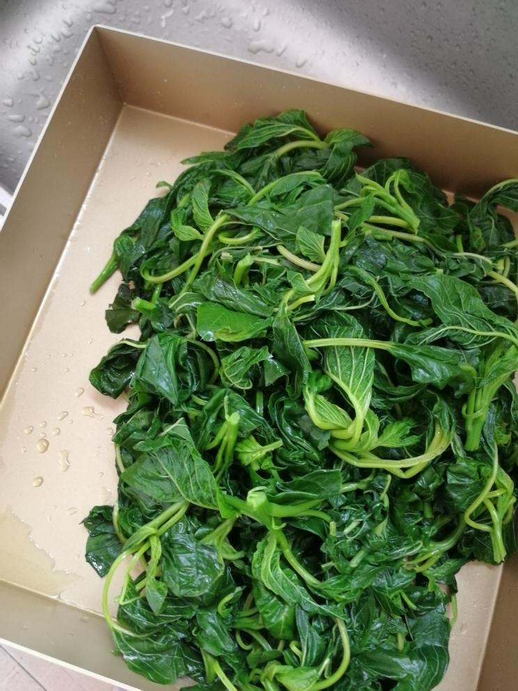 云青菜包子（童年的味道）的做法