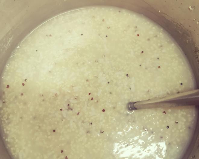 小米藜麦粥的做法