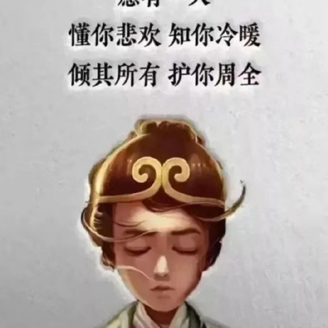 小猫咪6991