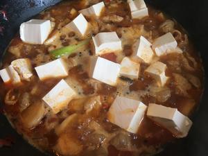 火锅底料肥肠豆腐煲的做法 步骤7
