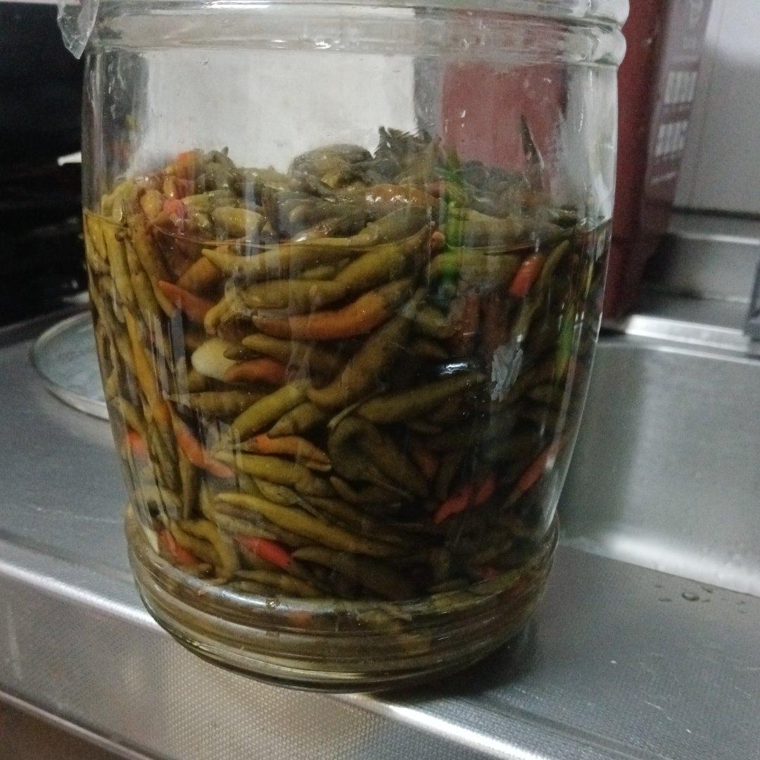 自制泡椒（腌小米椒）