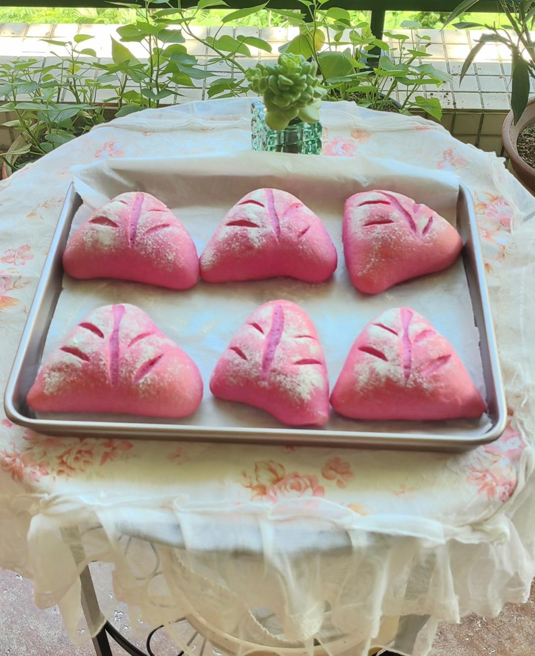 外软里糯❗️超多料㊙️火龙果麻薯坚果软欧包❗️