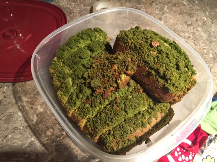 绝品抹茶奶酥磅蛋糕