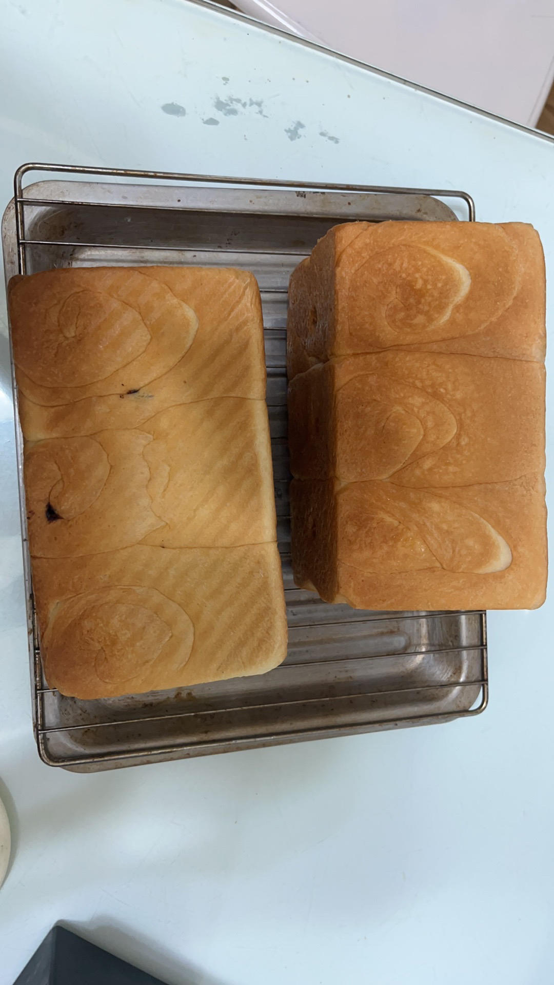 适合新手的吐司面包