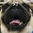 好名字鸭脖