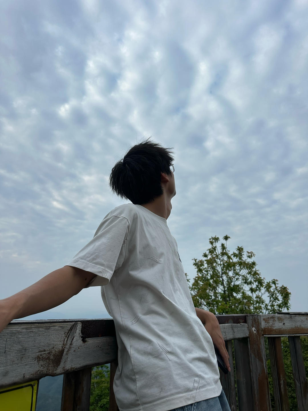 盛夏L