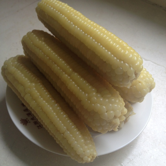 煮玉米