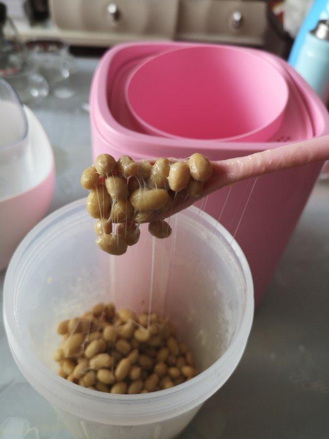 堂妈教你做纳豆