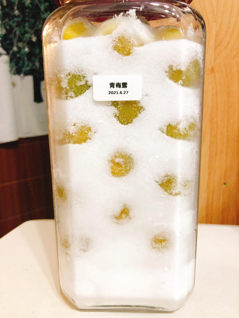 生酮友好青梅醋/青梅酒/梅子酱——持续更新
