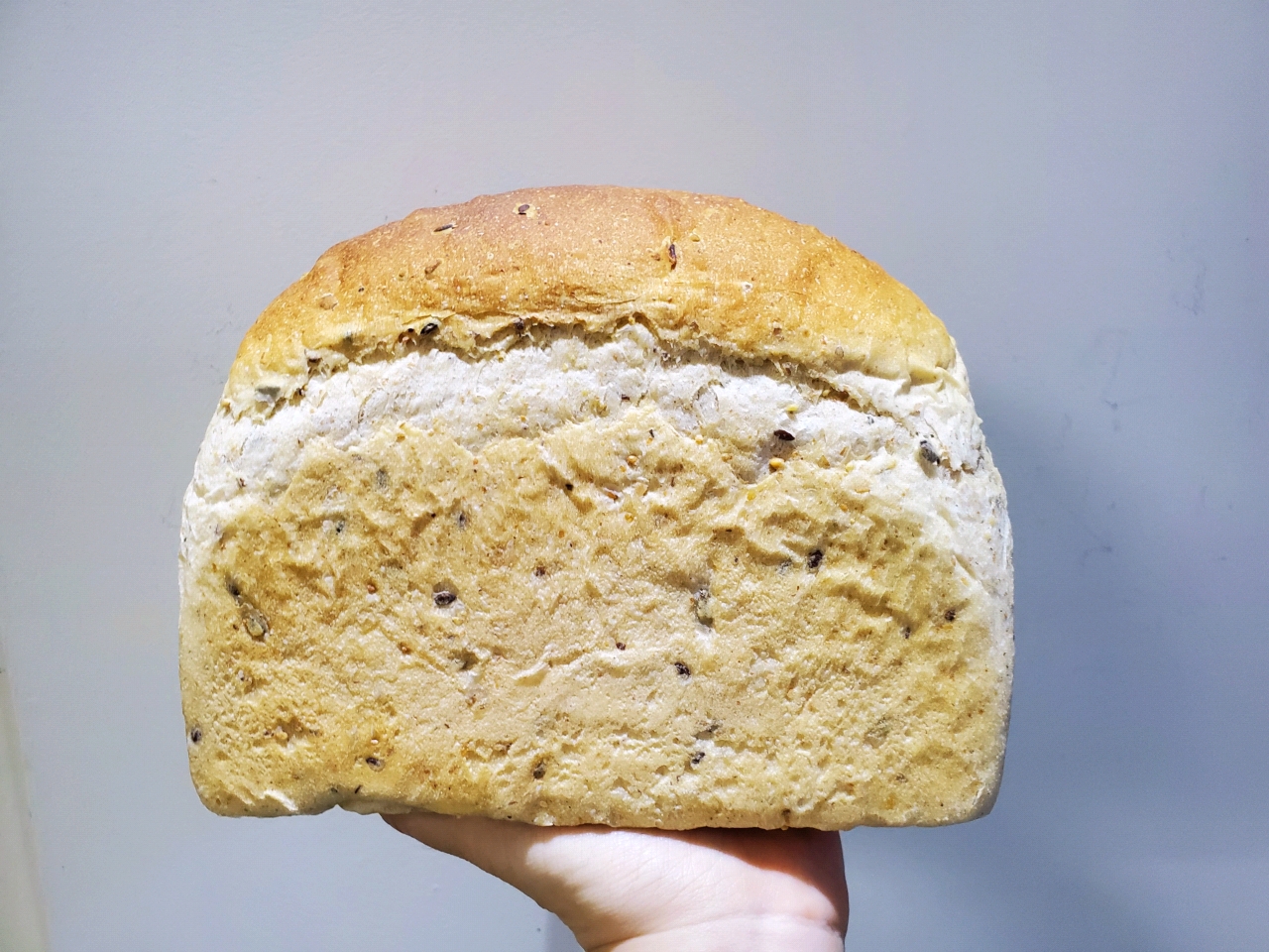 面包生活Bread Life【吐司和亚式面包】