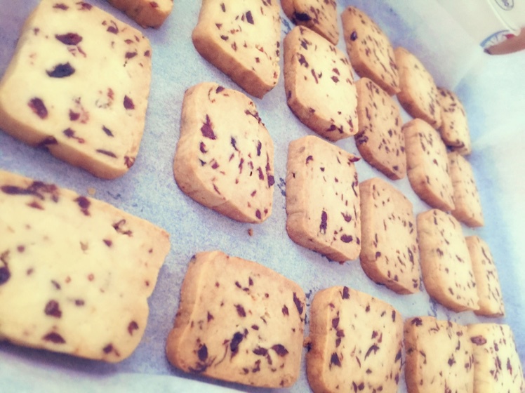 《Tinrry+》蔓越莓曲奇（超简单曲奇配方）