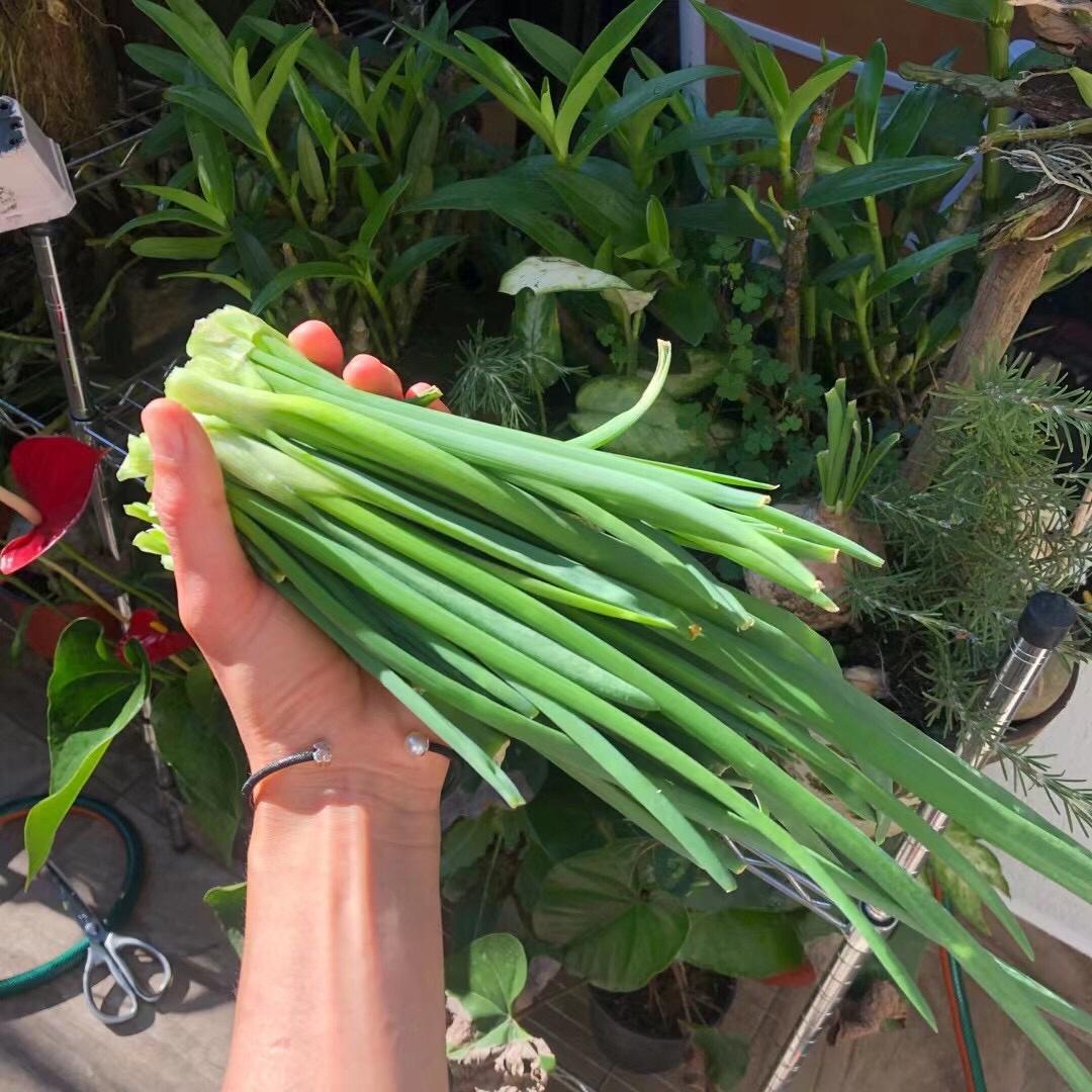 火腿葱花肉松卷（全教程，手把手教会你，让你轻松做出漂亮花卷）的做法 步骤1