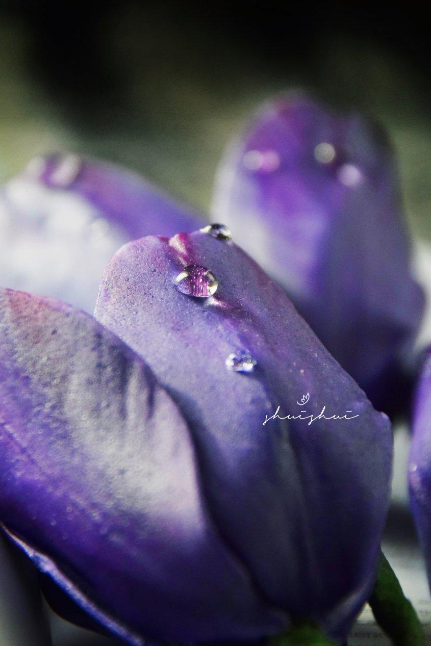 我和我的那些糖花🌸