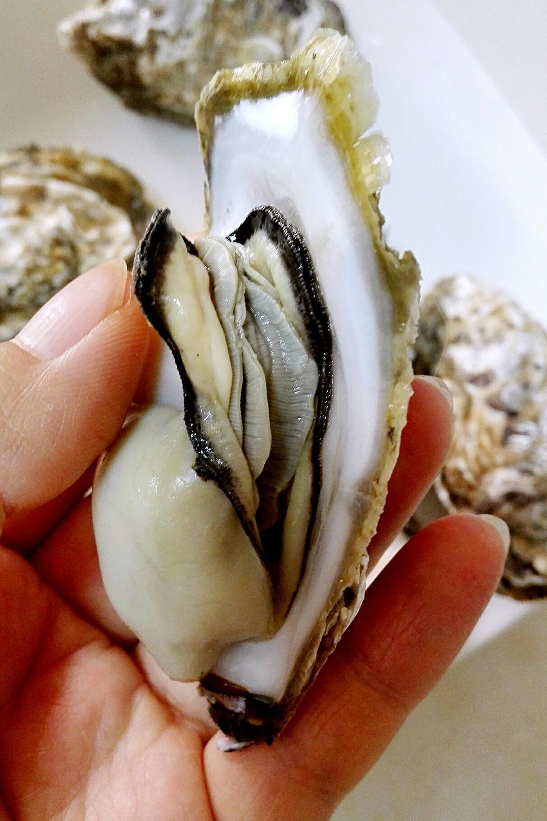 云无心007做的清蒸生蚝