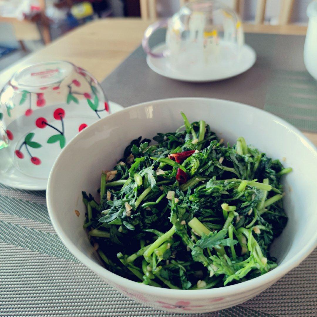 老醋茼蒿