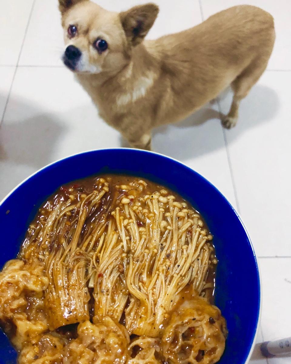 自己在家随便吃点