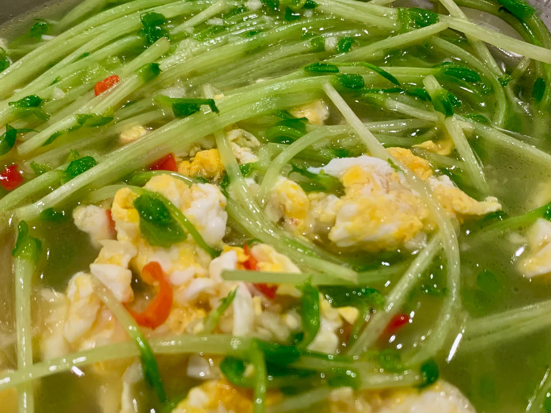 上汤豆苗