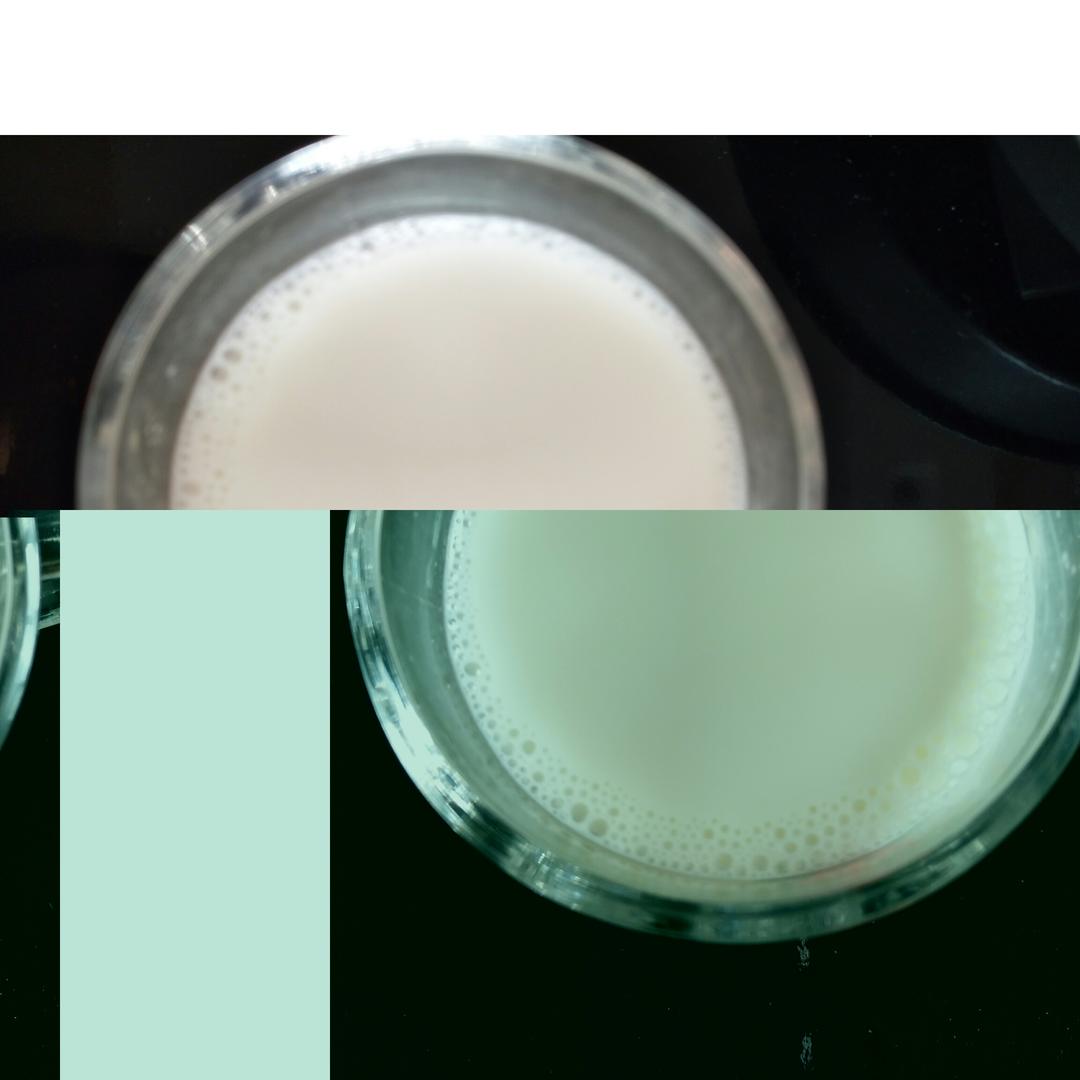 花生露（豆浆机版）