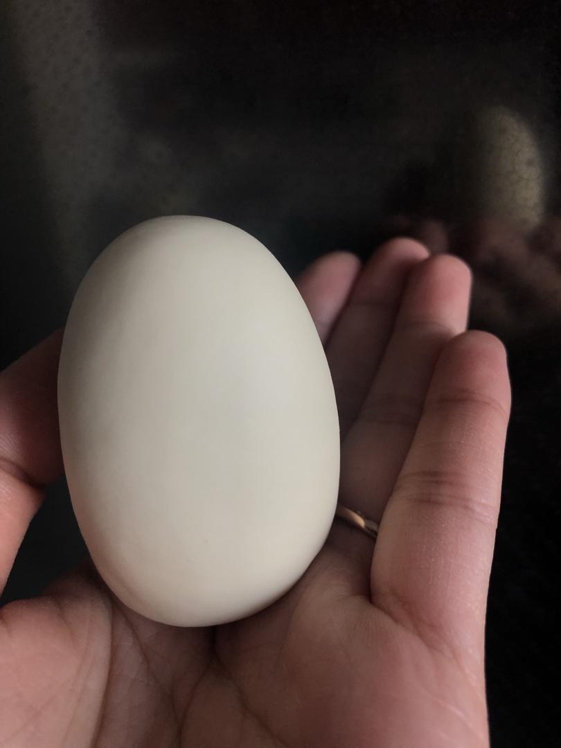 十个牛奶刀切