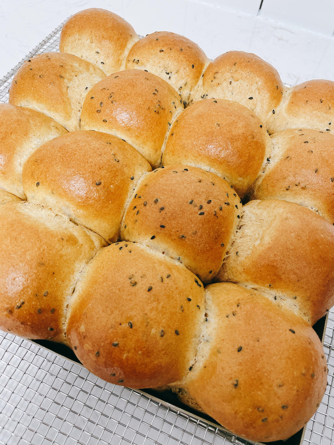 波兰种全麦面包🍞