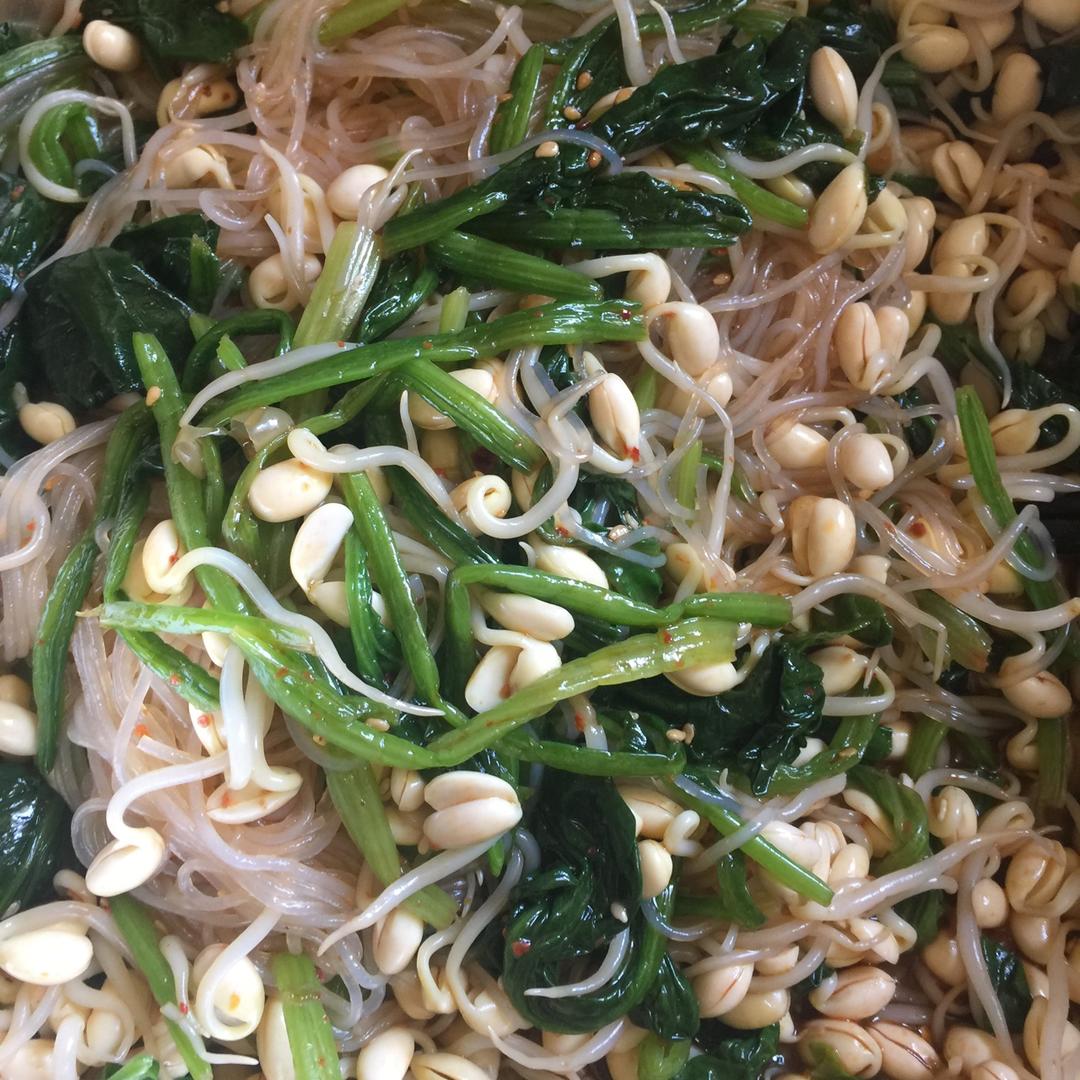 豆芽菠菜拌粉丝