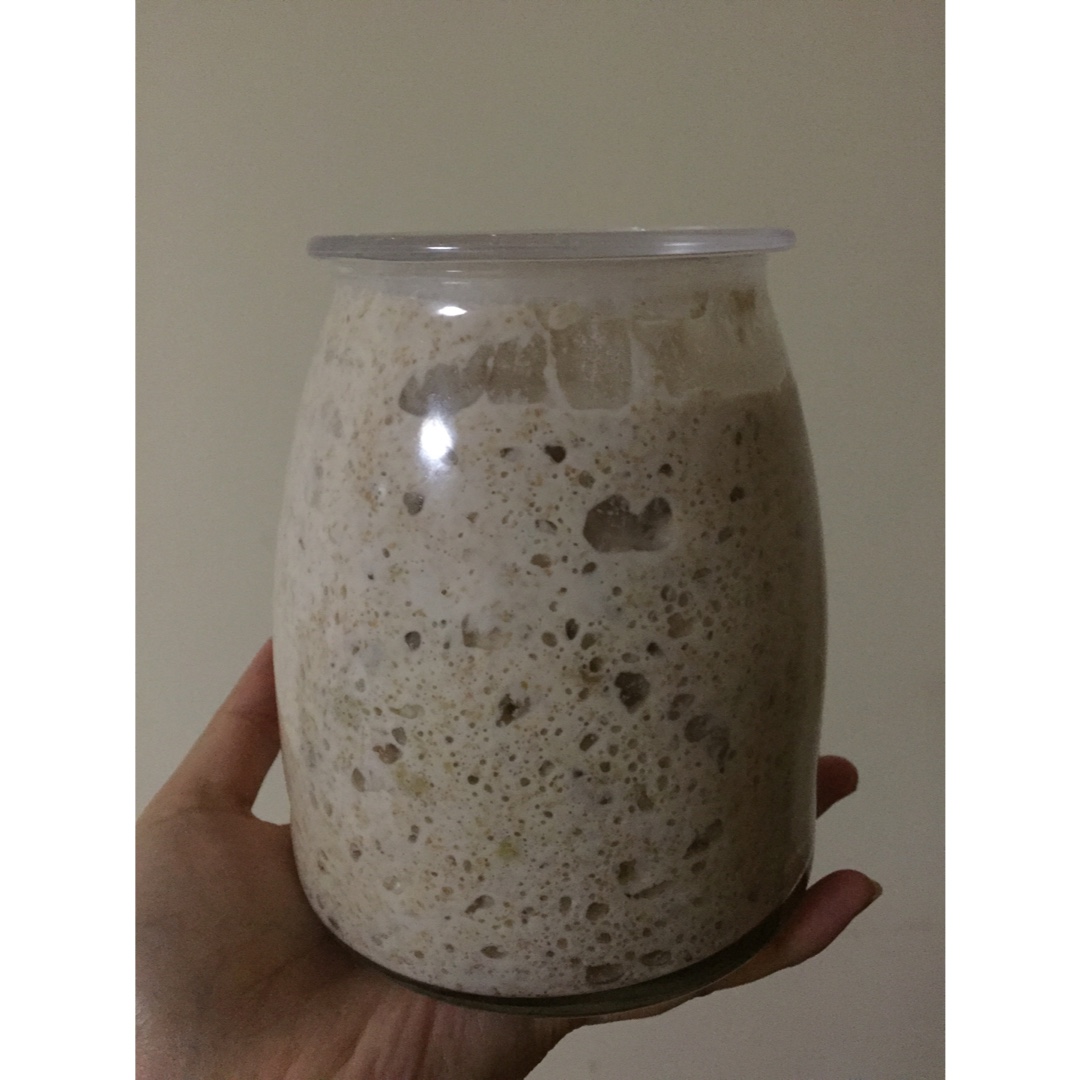 天然酵母宝宝养成记