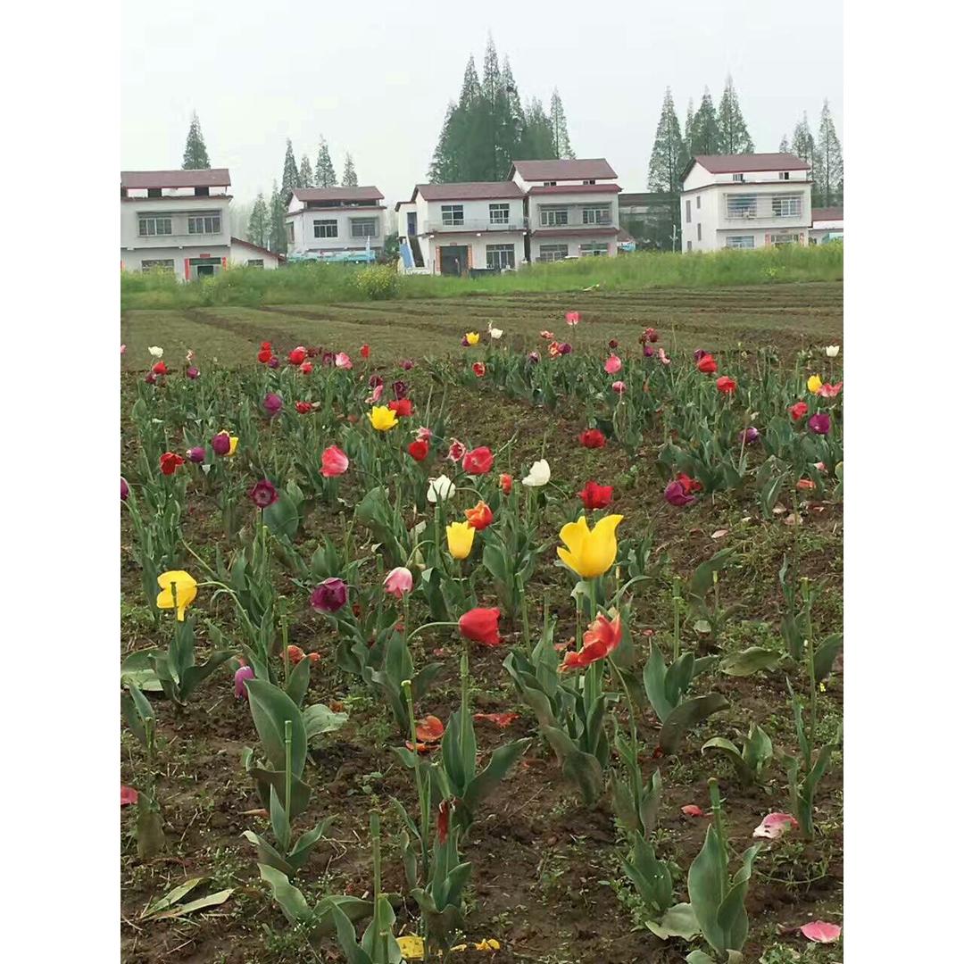 同学今生情.....