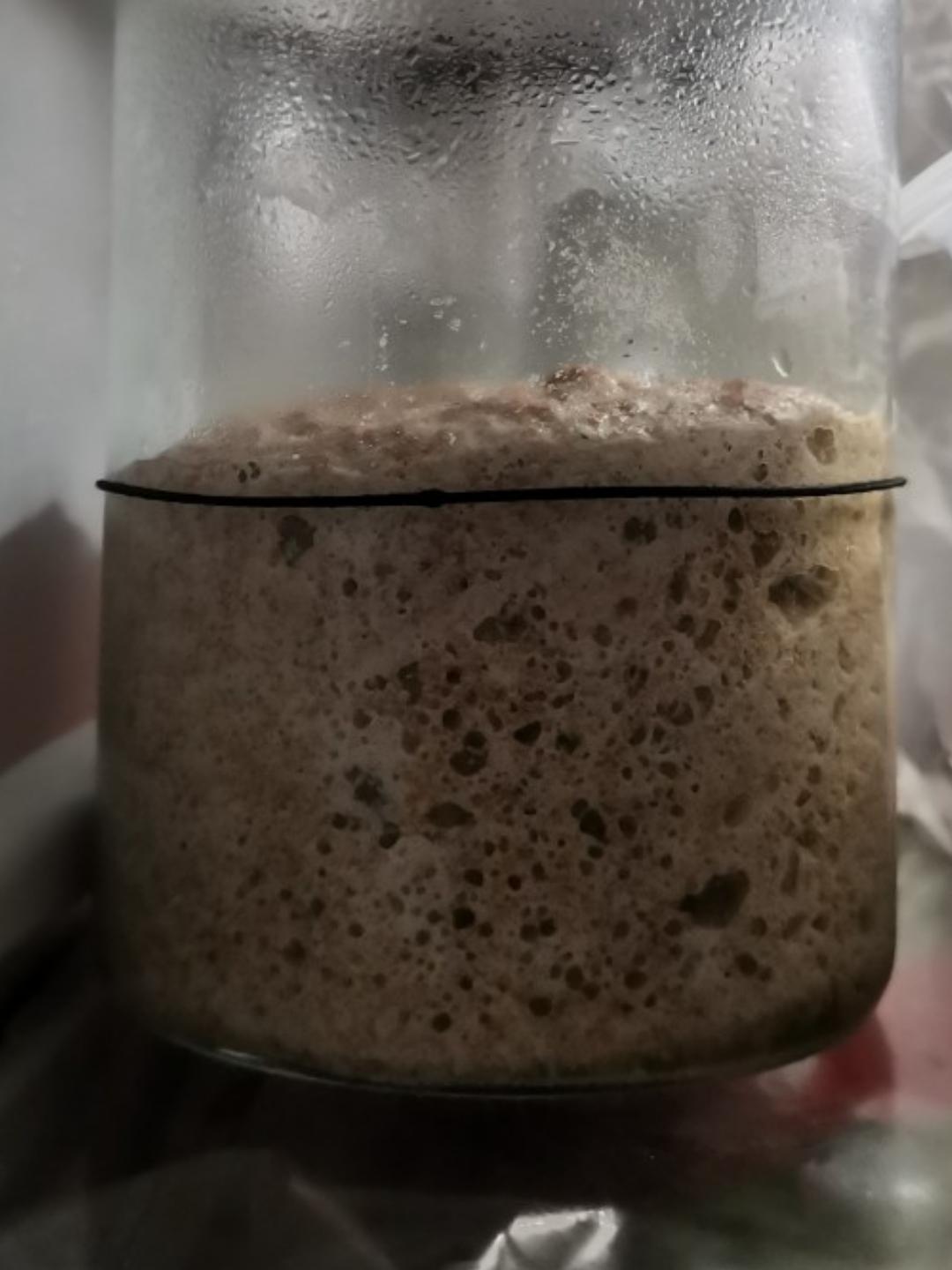 新鲜葡萄天然酵母培养