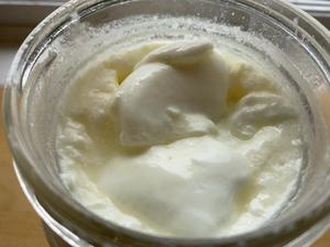 传统希腊酸奶（不用酸奶机，传统味道传统做法）痴迷健康的Ella的做法 步骤6