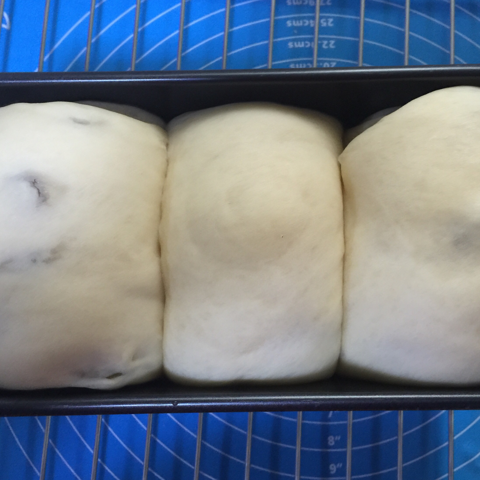 基础面包制作 Basic Bread (Loaf&Roll)