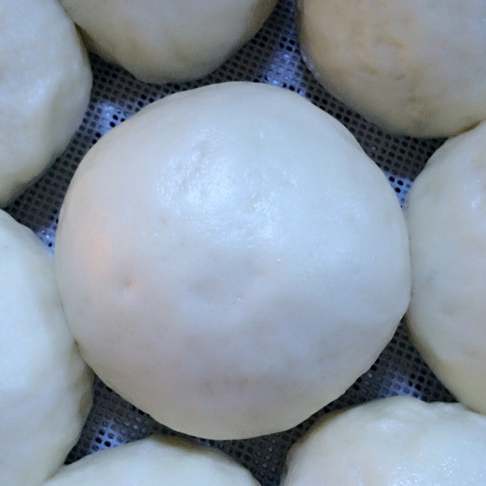 午餐•2016年8月2日