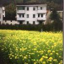 手机用户1621_a8vo