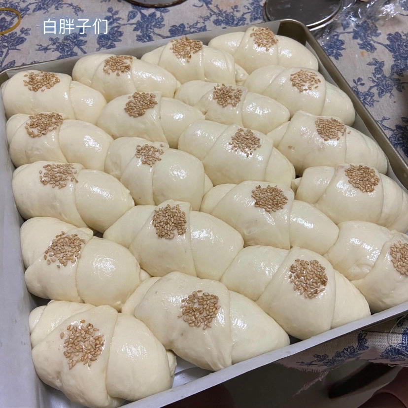 汤种牛奶面包卷