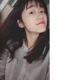 竹不知
