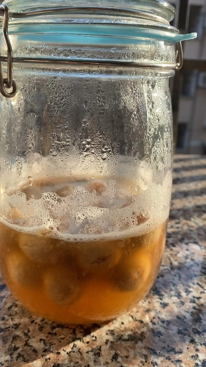 无花果干天然酵母                 (用酵母液喂养中种酵母做面包)