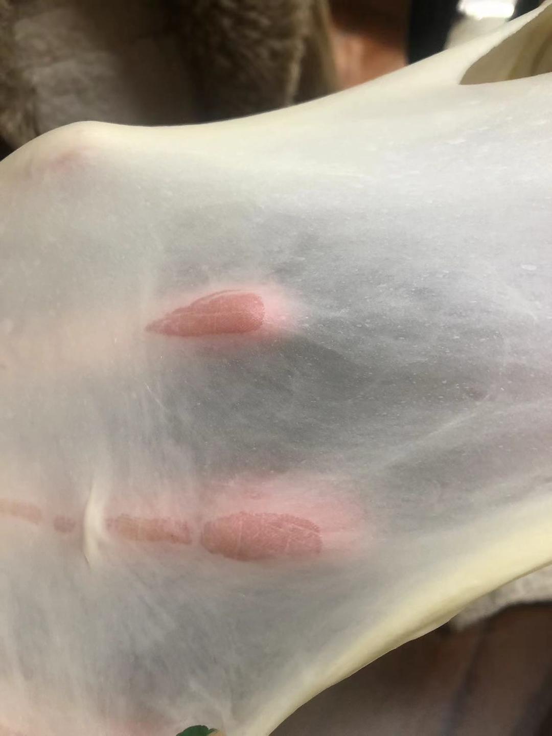拉丝！柔软！绵密！这款100%好评的生吐司，你吃过吗？