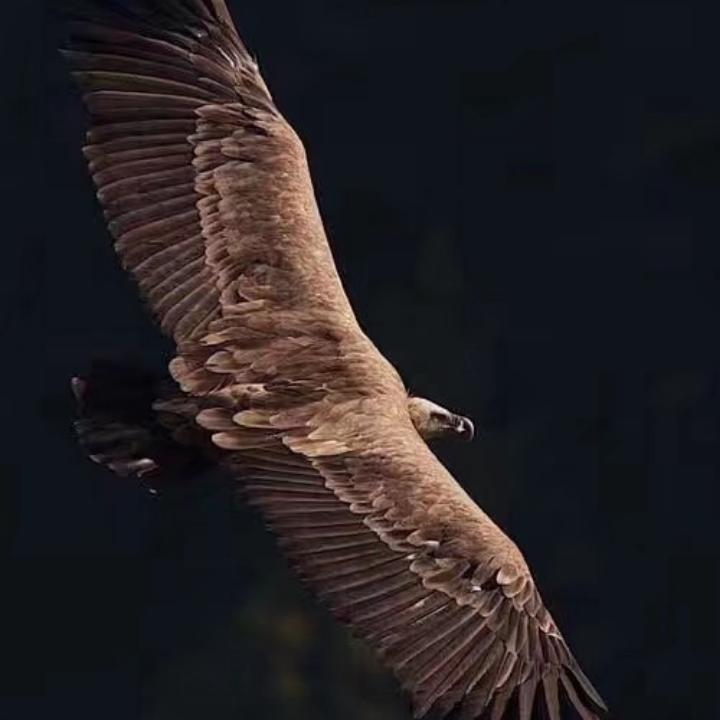 精益求静