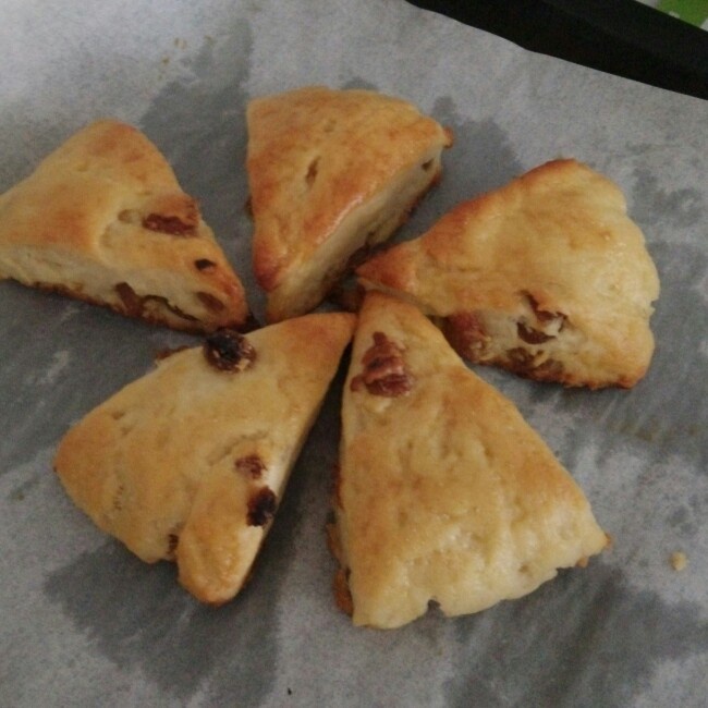 葡萄干司康（酵母版）