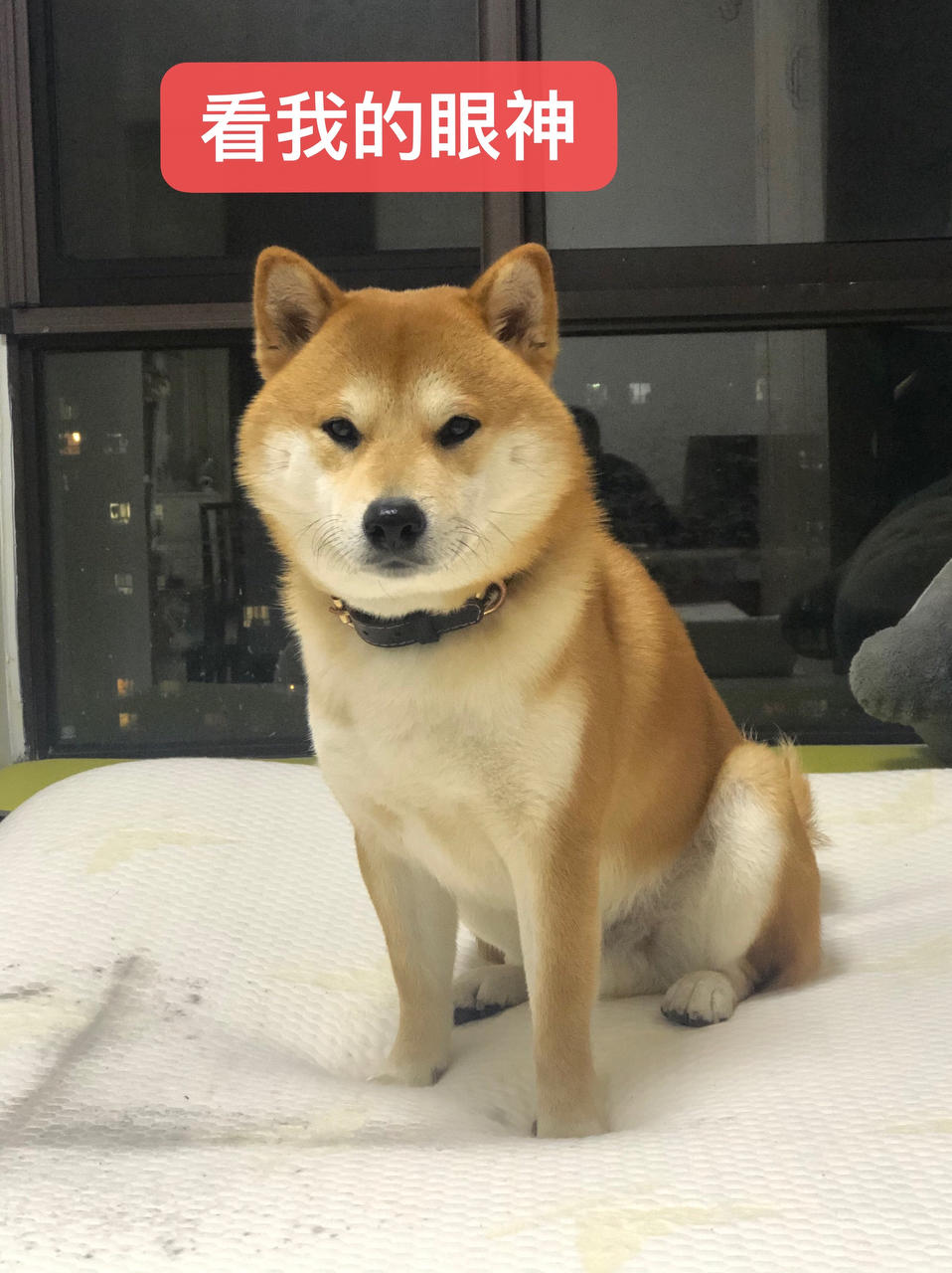 不想做饭的干饭人