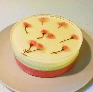 樱花彩虹慕斯蛋糕的做法 步骤10